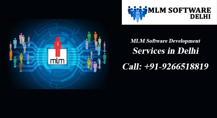 MLM Software Development Services in Delhi