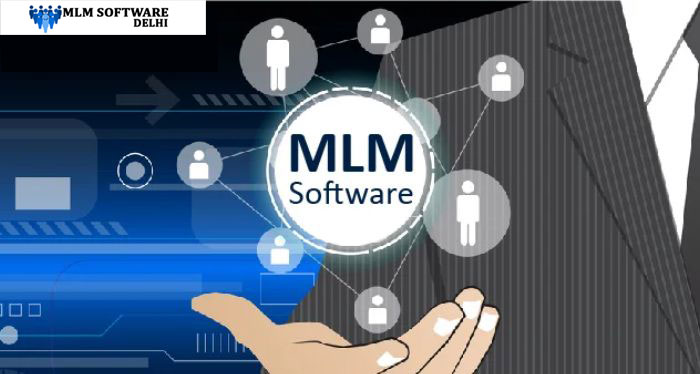 MLM Software Development Services in Delhi NCR, India