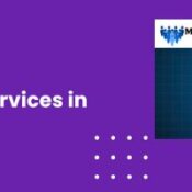 MLM Software Development Services in Varanasi